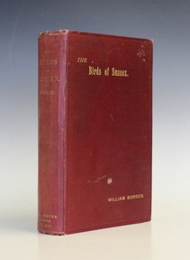 LOT 3174