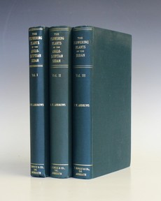 LOT 3177