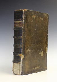 LOT 3262