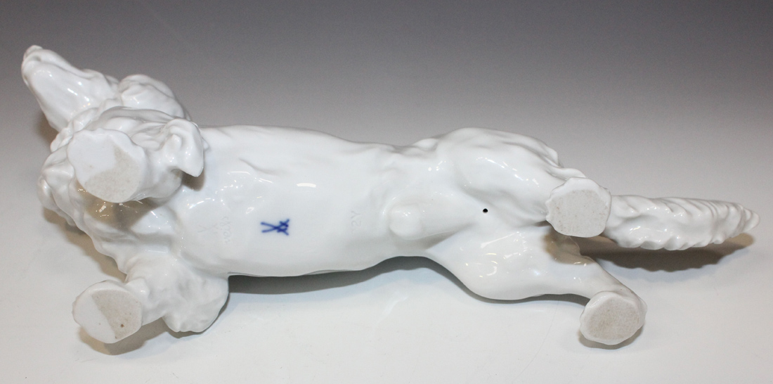 A Meissen white glazed porcelain model of a long haired dachshund