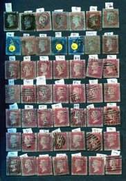 LOT 3031