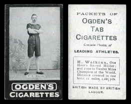 LOT 3243