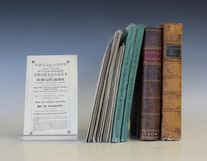 LOT 3163