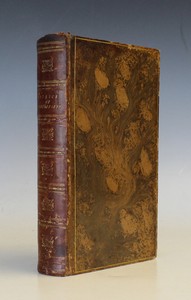 LOT 3181