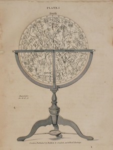 LOT 3193