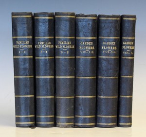LOT 3256