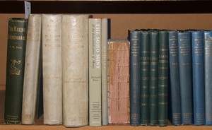 LOT 3350