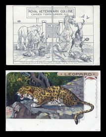 LOT 3100