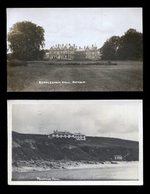 LOT 3149
