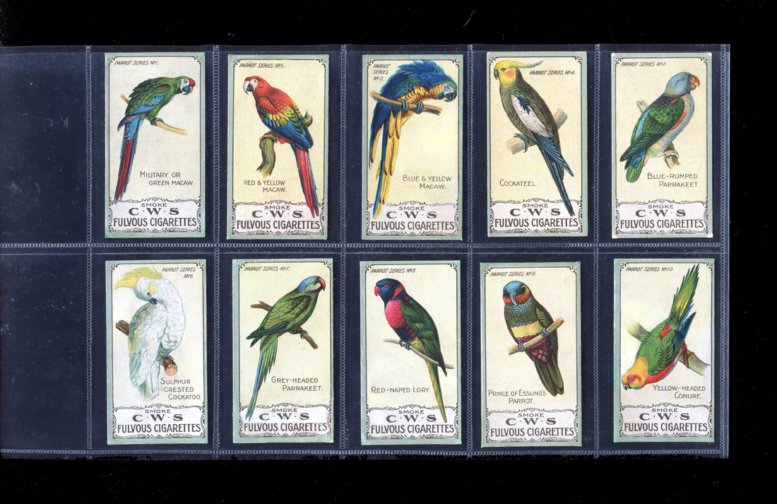 cws cigarette cards A set of 25 Co-Operative Wholesale Society (C.W.S.) 'Parrot Series' cigarette  cards, circa