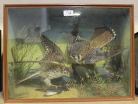 LOT 2764