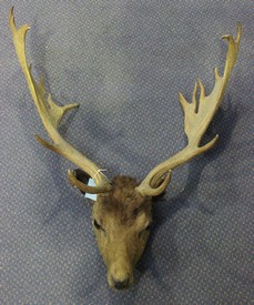 LOT 2770