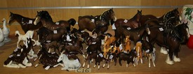 LOT 1556