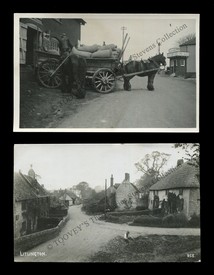 LOT 3176