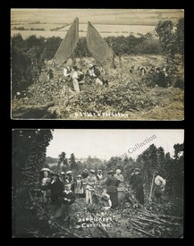LOT 3183