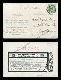 LOT 3294