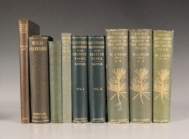 LOT 3141