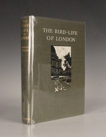 LOT 3143