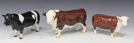 LOT 1551