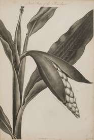 LOT 3229