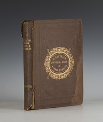 LOT 3247