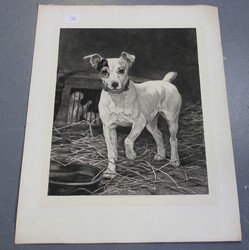 LOT 169