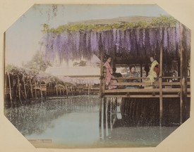 LOT 3226