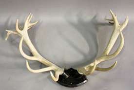 LOT 2721