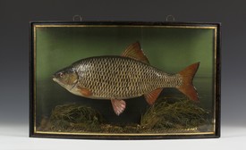 LOT 2642