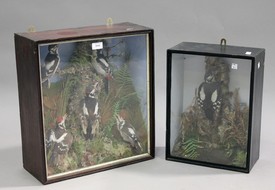 LOT 2644