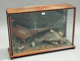 LOT 2645
