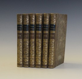 LOT 3004