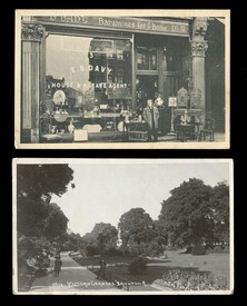 LOT 3151