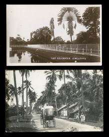 LOT 3187