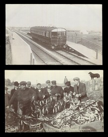 LOT 3198