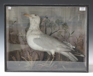 LOT 2679