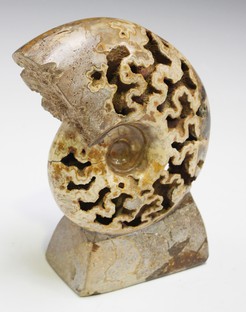 LOT 2630