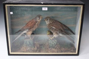 LOT 2720