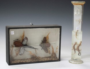 LOT 2721