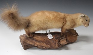 LOT 2722