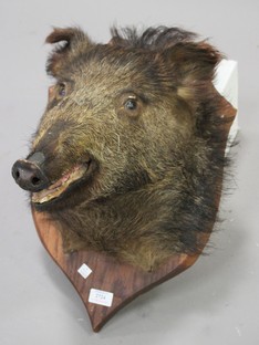 LOT 2724