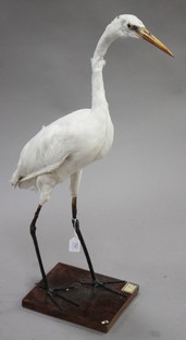 LOT 2725