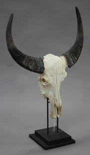 LOT 2726