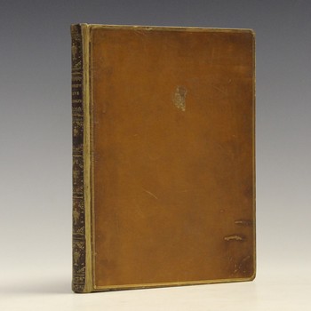 LOT 3146