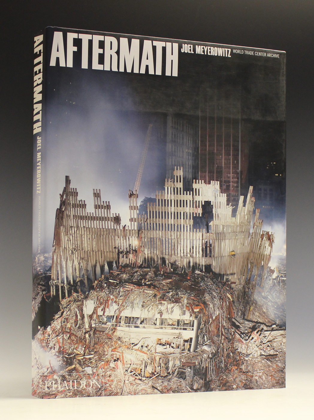 PHOTOGRAPHY REFERENCE Joel MEYEROWITZ Aftermath World Trade Center