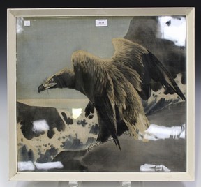 LOT 1118