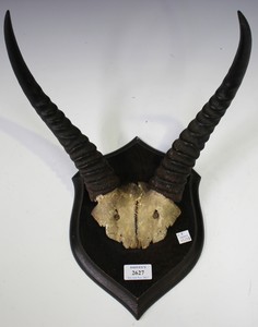 LOT 2627