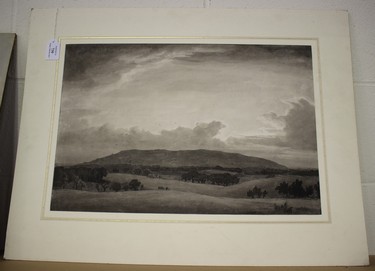 LOT 730