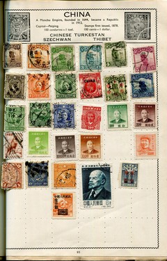 LOT 3019
