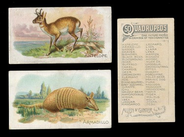 LOT 3118